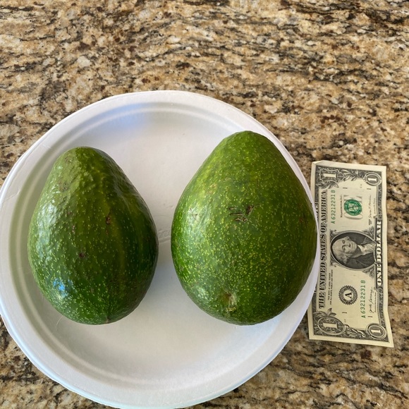 Meet your Posher, Lesly - Picture 14 of 16